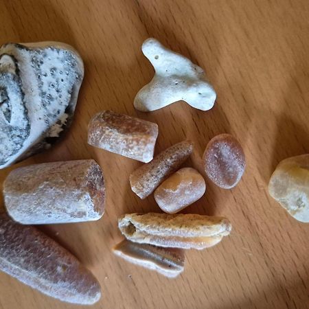 Ferienwohnung-Wildblume Petersdorf auf Fehmarn Εξωτερικό φωτογραφία